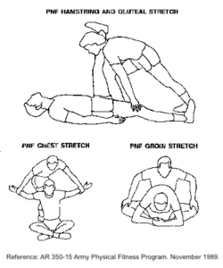Proprioceptive Neuromuscular Facilitation (PNF) stretching, stretching exercises